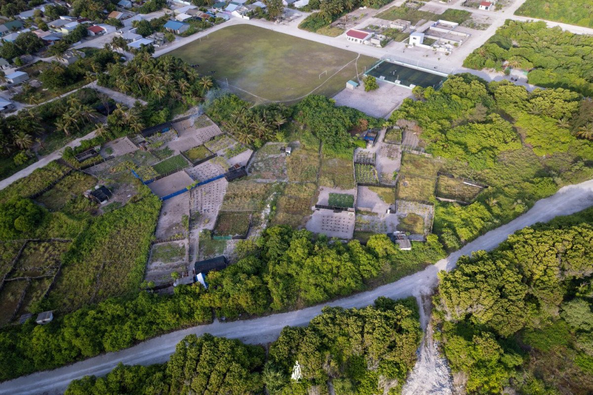 ދަނޑުވެރިކަން: ކުމުންދޫގެ އިޤްތިޞާދީ ބުރަކަށި